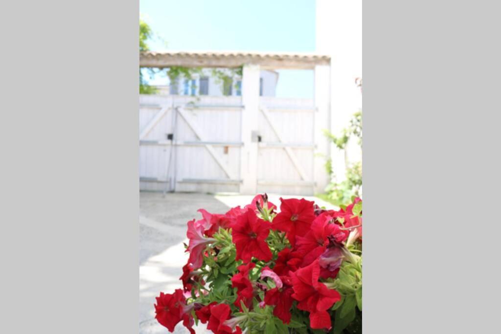 La Virginie - Suite Ile'O La Couarde-sur-Mer Luaran gambar